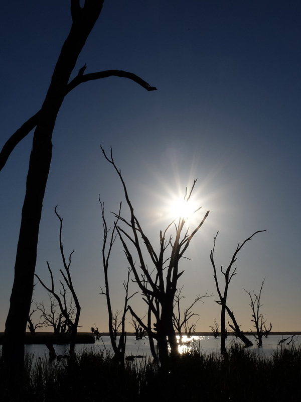 Lake Bonney Barmera Riverland South Australia
